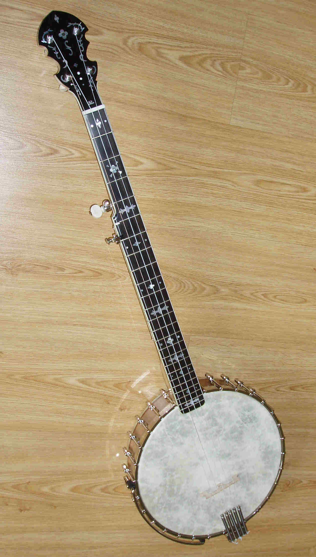 Five String Banjo - Open Back - B5/OB